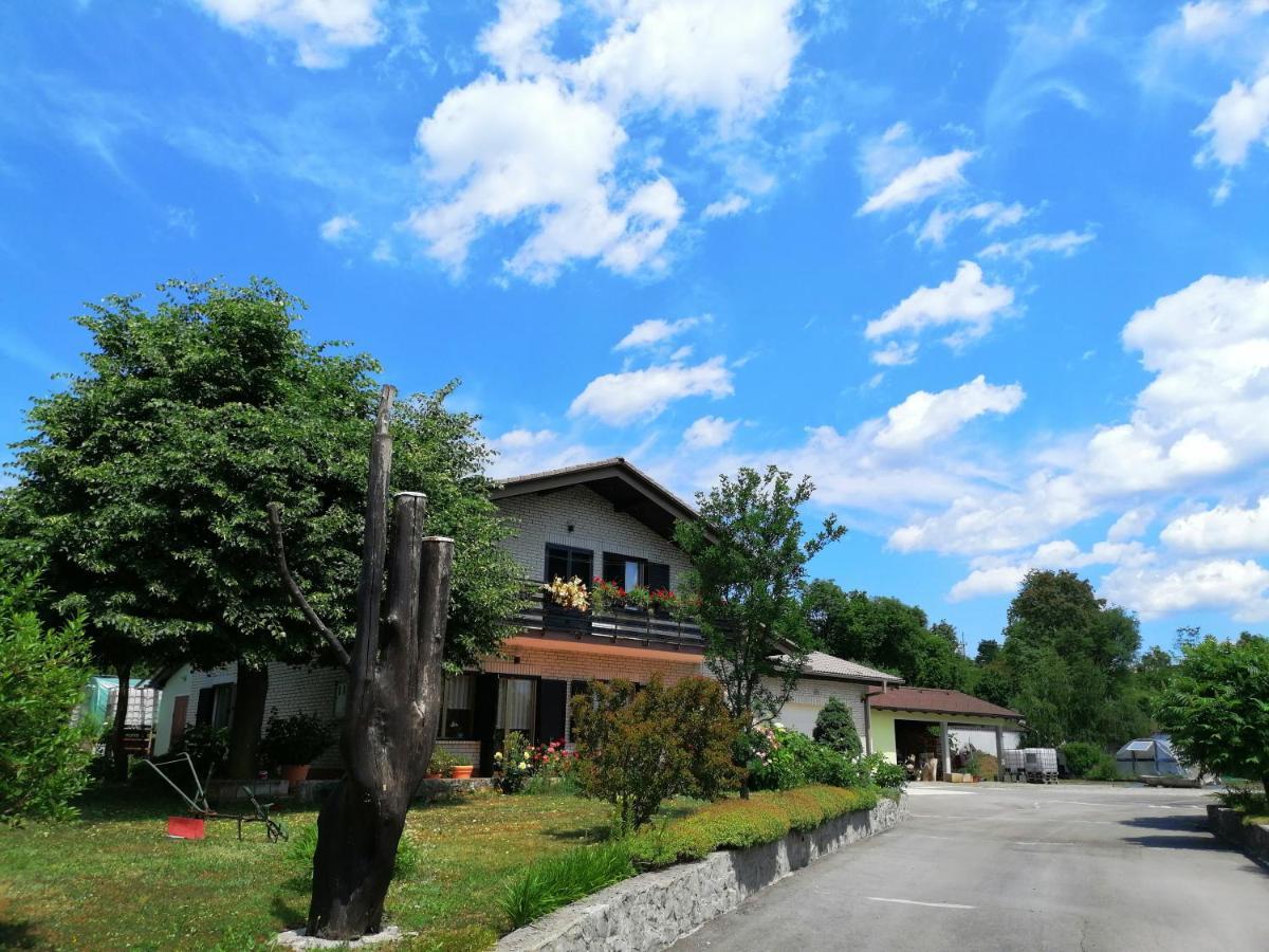Apartamento Deno Podgrad  Exterior foto